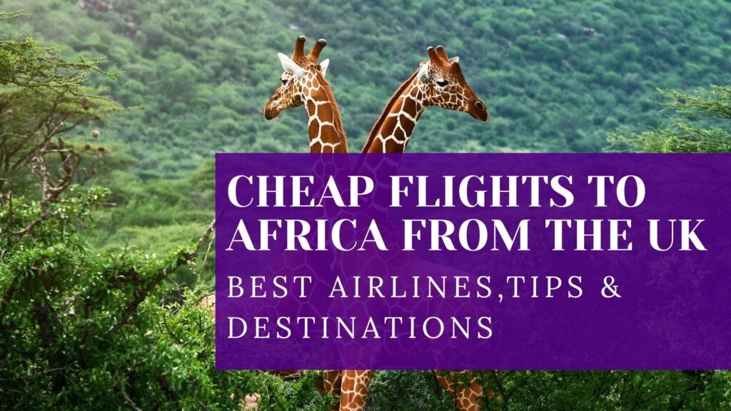 best time to book flight from the UK 2025