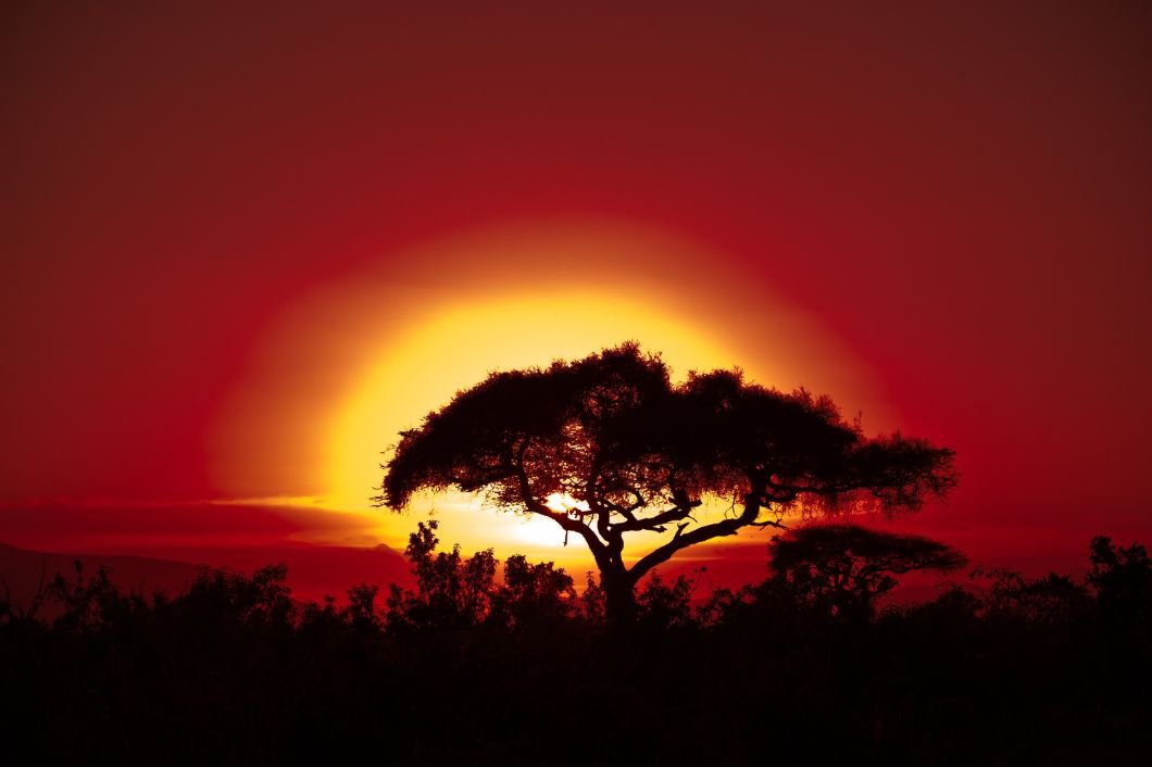 direct flights to Africa from the UK