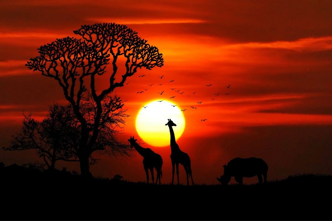 cheap flights to Africa from UK