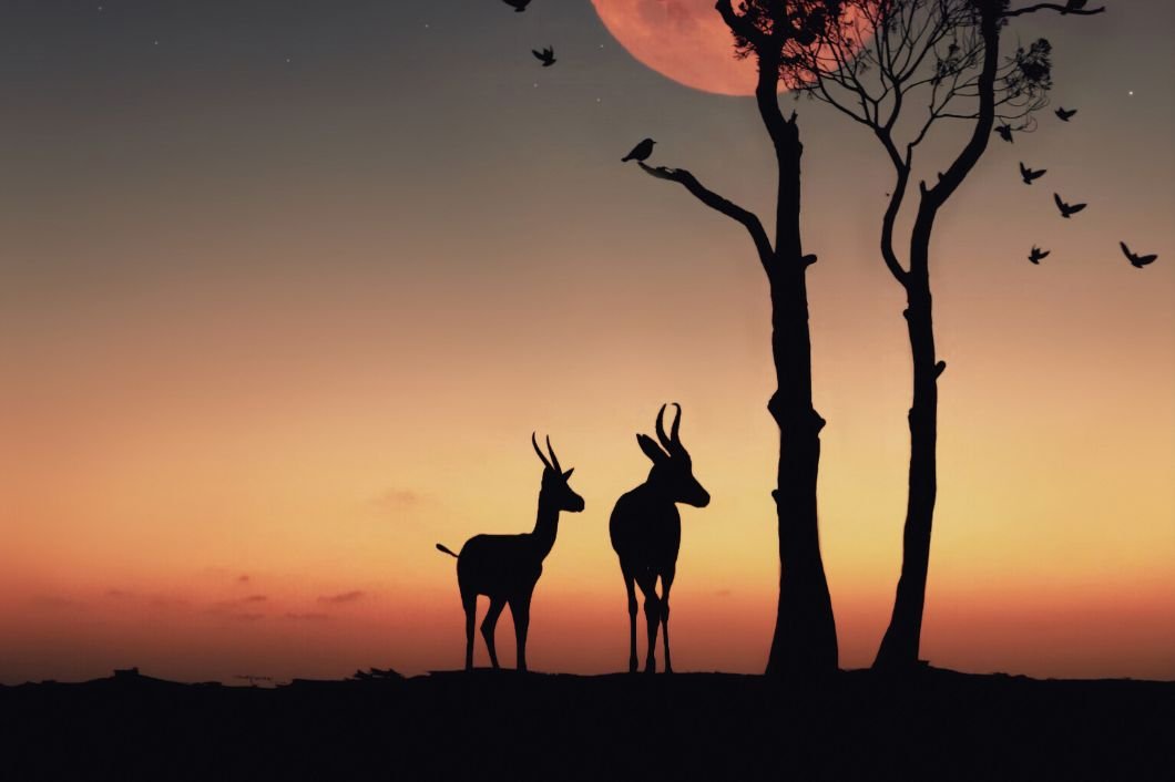 cheap flights to Africa from UK