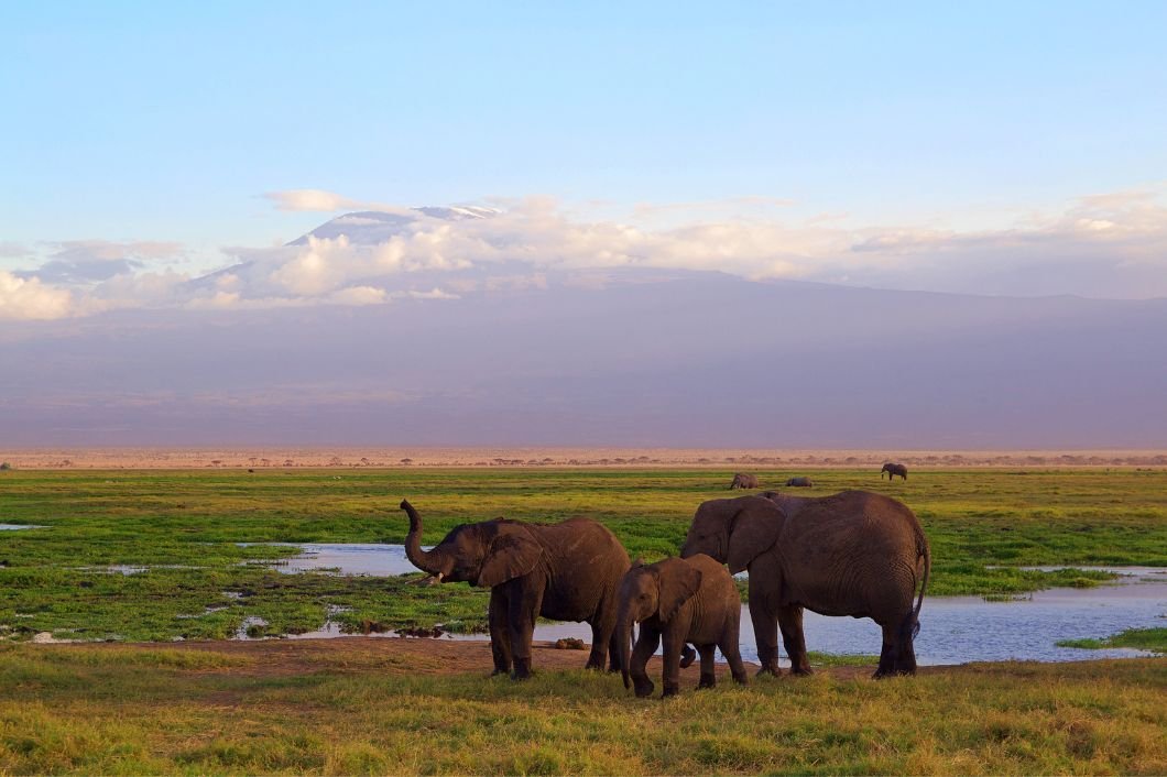 cheap flights to Africa from UK